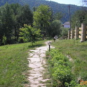  ,   Makc, 50 ,     , c 