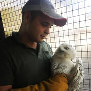 ���������� �������, ���� ������� ������, 31 ���, ������������ ��� ������, ����� � ���������, c�������� ���������, ���������