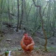 ���������� ���������, ���� ������� ���������, 39 ���, ������������ ��� ������, ����� � ���������