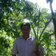  ,   Xomid, 44 ,   ,   , c , 
