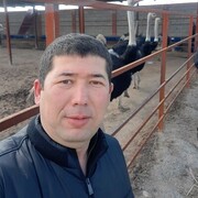  ,  Jahongir, 41