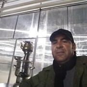  -,   Elman, 39 ,   ,   