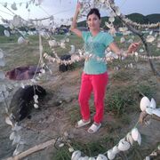  --,   , 41 ,     , c 