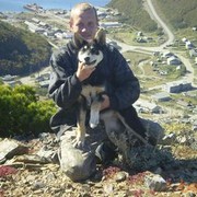 ���������� ���������, ���� ������� ����, 50 ���, ������������ ��� ������, ����� � ���������, c�������� ���������, ���������