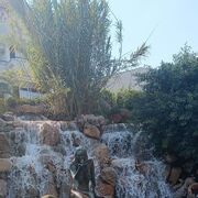 ���������� ������, ���� ������� ��������, 42 ����, ������������ ��� ������, ����� � ���������, c�������� ���������