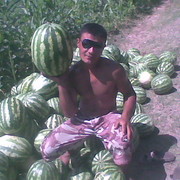 ���������� �������, ���� ������� �����, 38 ���, ������������ ��� ����� � ���������, c�������� ���������, ���������