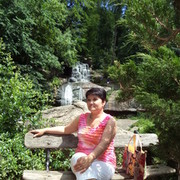  ,   , 55 ,  