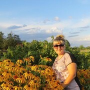 ���������� �������, ������� ����, 47