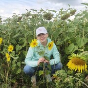 ���������� �������������, ���� ������� ������, 55 ���, ������������ ��� ����� � ���������