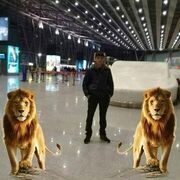  ,   , 31 ,   