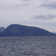  -,   , 49 ,   ,   , c 