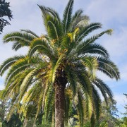  ,   , 55 ,   ,   , c 
