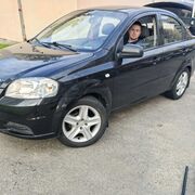 ���������� �����, ���� ������� ���������, 31 ���, ������������ ��� ������, ����� � ���������, c�������� ���������, ���������