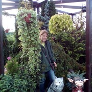 ���������� ������, ���� ������� Arina, 39 ���, ������������ ��� ������, ����� � ���������