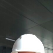 ���������� ������, ���� ������� ��������, 33 ����, ������������ ��� c�������� ���������