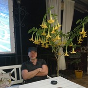  ,   , 62 ,     , c 