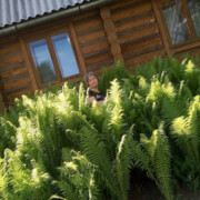 ���������� ���������, ���� ������� ��������, 42 ����, ������������ ��� ����� � ���������, c�������� ���������