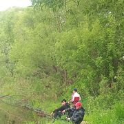 ���������� ���������, ���� ������� �����, 40 ���, ������������ ��� ������, ����� � ���������