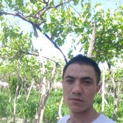  ,   Imran, 37 ,     , c 