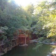  ,   Rasim, 55 ,   ,   , c 