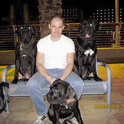 ���������� �����, ���� ������� ������, 45 ���, ������������ ��� ������, ����� � ���������, c�������� ���������