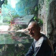  ,   , 56 ,     , c 