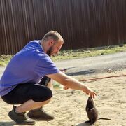 ���������� ���������, ���� ����� ������, 25 ���, ������������ ��� ������, ����� � ���������, c�������� ���������