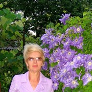 ���������� ����������, ���� ������� �����, 71 ���, ������������ ��� ������, ����� � ���������, c�������� ���������