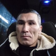  ,  , 43