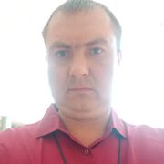 ���������� �����, ���� ������� ��������, 41 ���, ������������ ��� ������, ����� � ���������, c�������� ���������