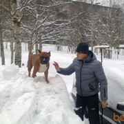 ���������� �����������, ������� ����, 39