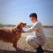  ,   Wei, 33 ,   ,   