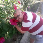 ���������� ���������, ���� ������� �������, 53 ����, ������������ ��� ������, ����� � ���������, c�������� ���������