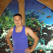 ���������� �����, ���� ������� ���������, 36 ���, ������������ ��� ������, ����� � ���������, c�������� ���������