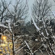 ���������� �����-���������, ���� ������� ����, 28 ���, ������������ ��� ������, ����� � ���������