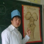  -,   Begzad, 31 ,   ,   , c 