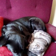 ���������� ������, ���� ����� ����, 24 ����, ������������ ��� ������, ����� � ���������, c�������� ���������