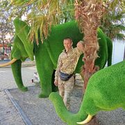 ���������� ��������, ������� ���������, 48