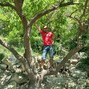 ���������� �������, ���� ������� �������, 31 ���, ������������ ��� ����� � ���������, c�������� ���������