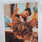 ���������� ������, ���� ����� �����, 25 ���, ������������ ��� ������, ����� � ���������