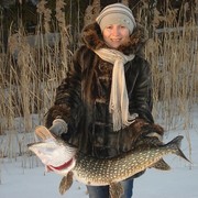 ���������� �������, ���� ������� �����, 54 ����, ������������ ��� ����� � ���������, c�������� ���������