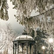  ,   Irina, 52 ,   ,   , c 