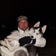 ���������� ���������, ���� ������� ���������, 38 ���, ������������ ��� ����� � ���������, c�������� ���������, ���������