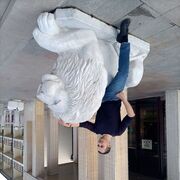 ���������� �����, ���� ������� �������_����, 38 ���, ������������ ��� ������, ����� � ���������, c�������� ���������, ���������