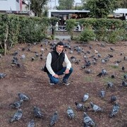 ���������� �����, ���� ������� ������, 36 ���, ������������ ��� ������, ����� � ���������