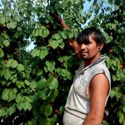 ���������� �����������, ���� ������� ��������, 45 ���, ������������ ��� ������, ����� � ���������, c�������� ���������