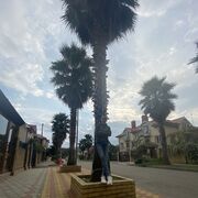  ,   , 28 ,   ,   , c , 