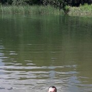 ���������� ������, ���� ������� ������, 40 ���, ������������ ��� ������, ����� � ���������, c�������� ���������