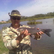 ���������� ���������, ���� ������� �����, 50 ���, ������������ ��� ������, ����� � ���������, c�������� ���������