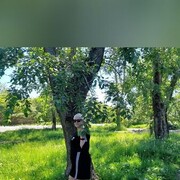  ,  , 57